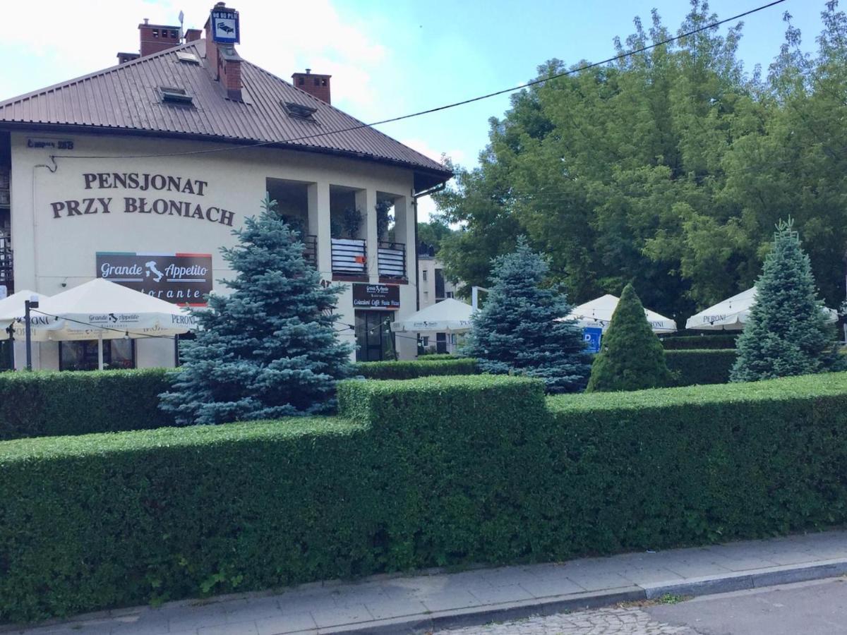 Pensjonat Przy Bloniach Krakow Luaran gambar