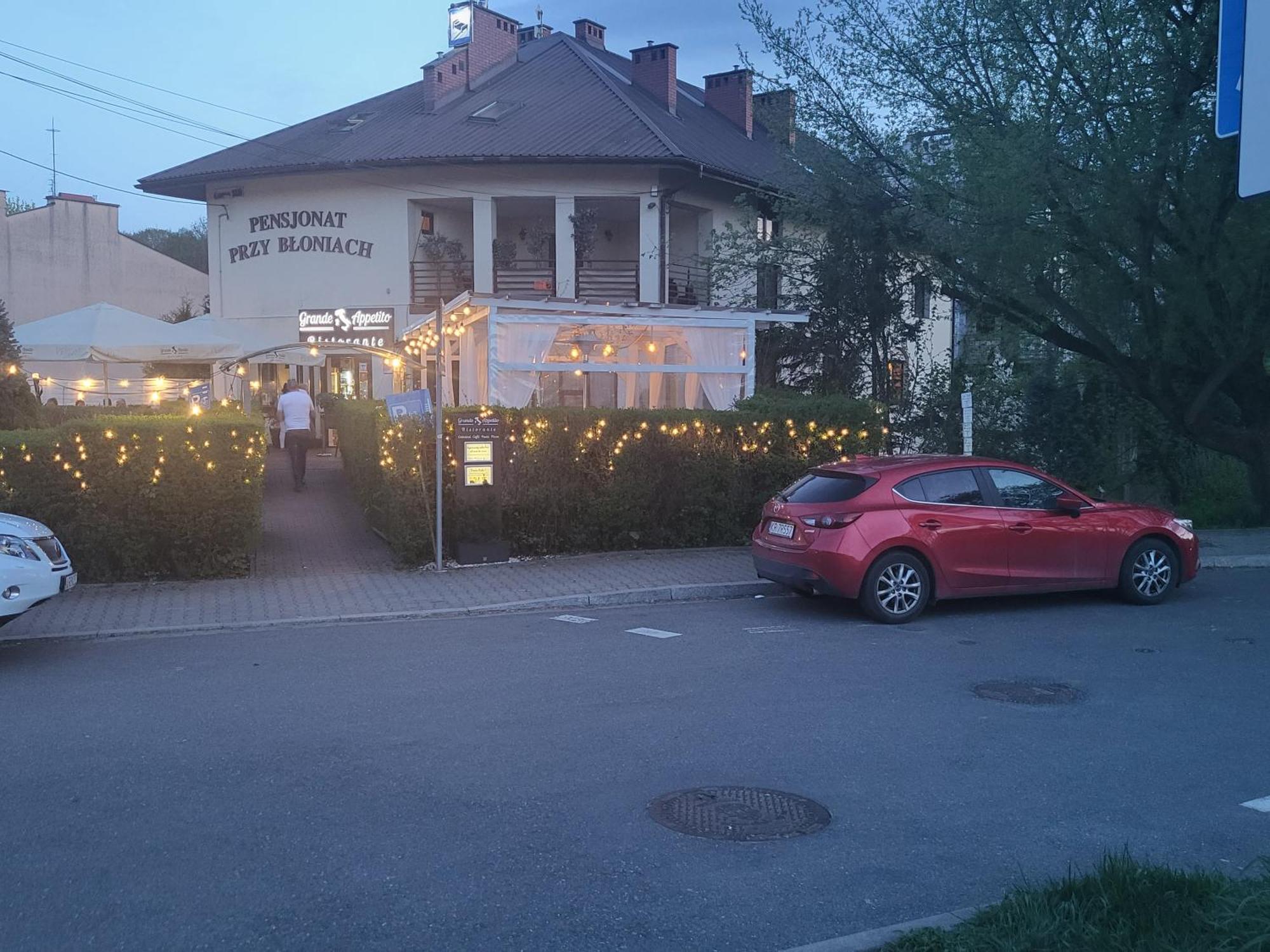 Pensjonat Przy Bloniach Krakow Luaran gambar